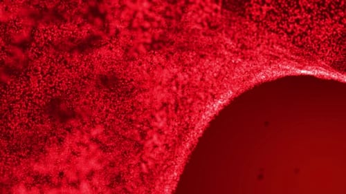 Dynamic Red Abstract Particle Field Motion Background