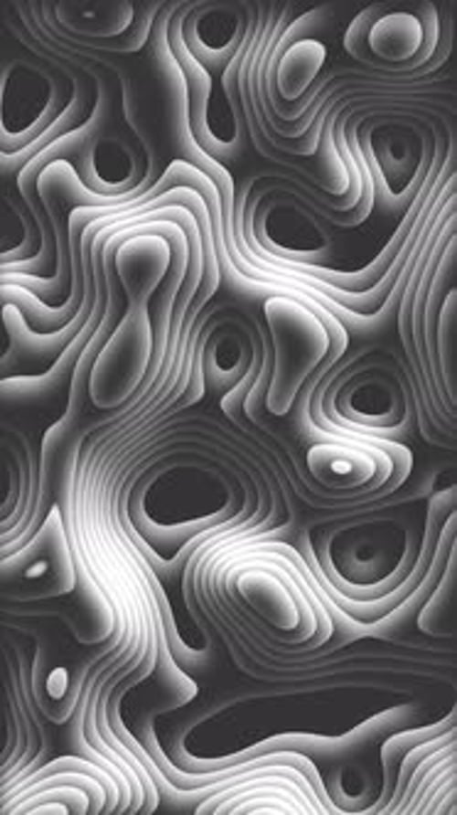 Abstract Topographic Flowing Contour Lines Loop Background