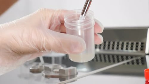 Fécondation in vitro