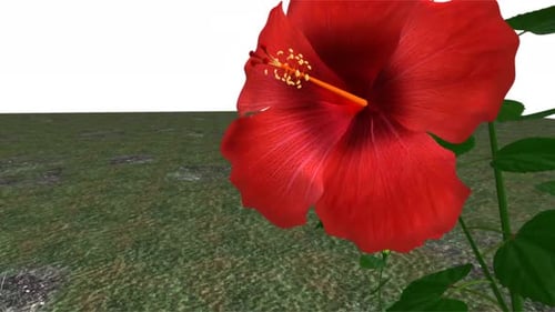 Leuchtend rote Hibiskusblüte, die im digitalen Garten blüht