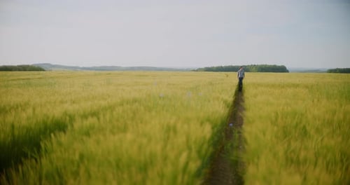 Person Walking Through Golden Wheat Field on Path