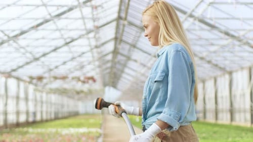 Woman Waters Plants in a Tropical Greenhouse