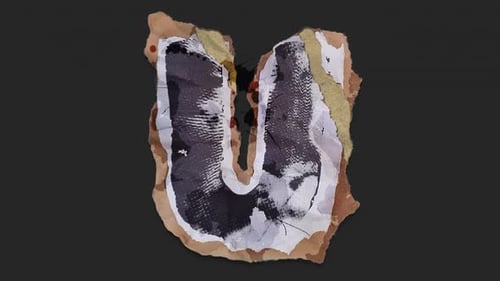 Grunge Torn Paper Reveal for Content