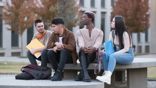 Multikulturelle Gruppe von Studenten spricht entspanntes Sitzen im Freien