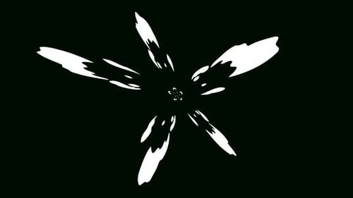 Minimalist Radial Burst Shape Transition Reveal Animation