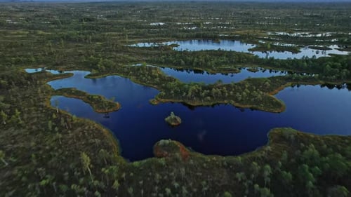 Aerial View of a Beautiful Peat Bog Landscape