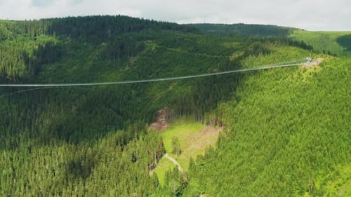 Aufnahmen von Suspension Sky Bridge 721 und Forest in der Tschechischen Republik