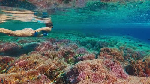 Set of Two Footages Real Speed and Slow Motion with Woman Swimming Underwater in the Tropical Sea