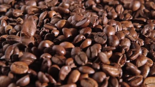 Coffee Beans Background Texture of Coffee Beans Close Up Dark Brown Roasted Coffee is Spinning