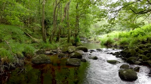 Flying over black water river towards a small waterfall with reflecting water and beautiful slimey r