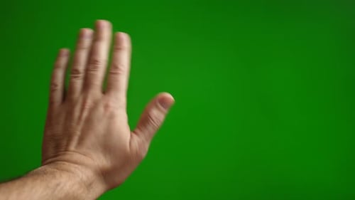 21a. Waving palm in greeting on green background.