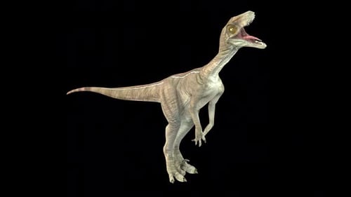 Velociraptor Roar im Leerlauf