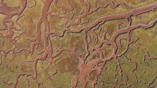 Aerial view of river and salt marsh patterns, United Kingdom.