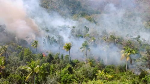 Amazon rainforest burning, deforestation of jungle in Brazil - Aerial view