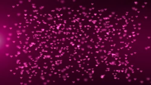 Abstract background of pink particles of hearts. Love animation for Valentine's Day. seamless loop