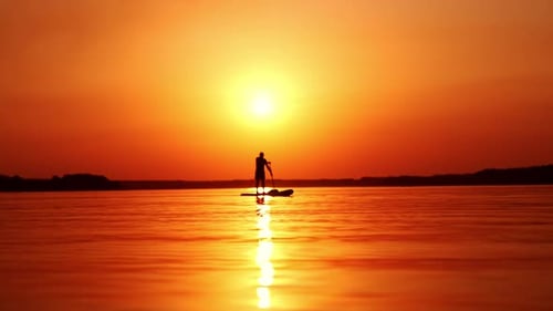 Beautiful sunset over the river. Man on a sup board approaching camera. Low angle view.