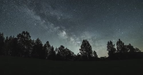 Milky Way Galaxy Stars in Starry Sky Over Forest Time Lapse Day to Night
