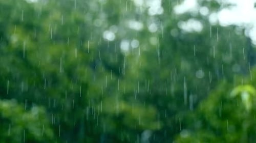 Water Drop Falling