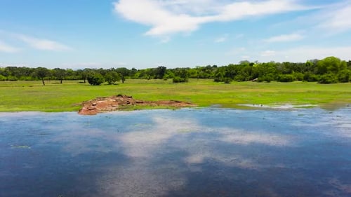National Park in Sri Lanka