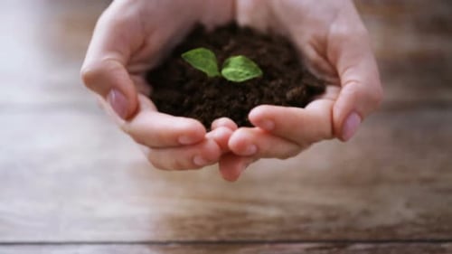 Menschen-, Garten-, Wohltätigkeits-, Ökologie- und Umweltkonzept - Nahaufnahme einer Frau