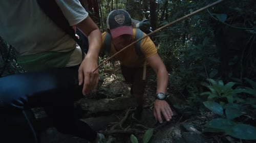 Couple Hiking in the Forest