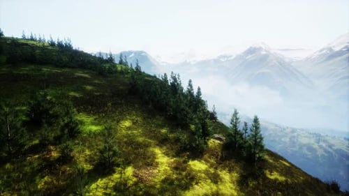 Aerial View of Grassy Hill With Trees and Mountains