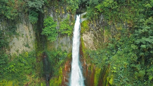 Tall Waterfall Catarata Del Toro Flowing From Hidden Cave in Lush Costa Rica