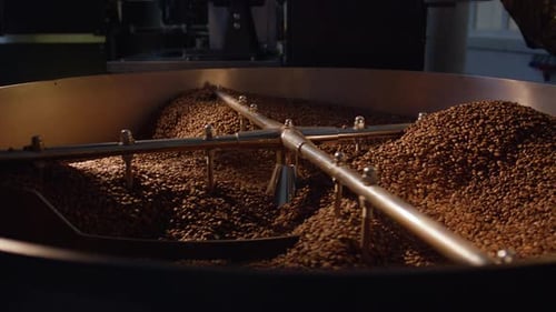 Coffee beans rotating in roasting machine, workshop coffee