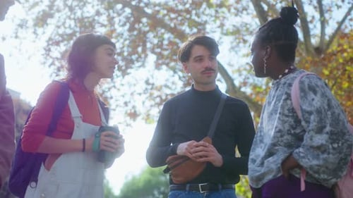 Happy College Friends Resting and Chatting in the Park after Study