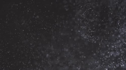 Dust Particles