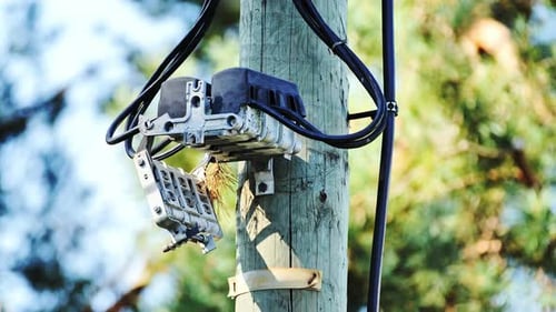 Close-Up of Power Pole Connection Box and Wires on Wooden Utility Post in Summer