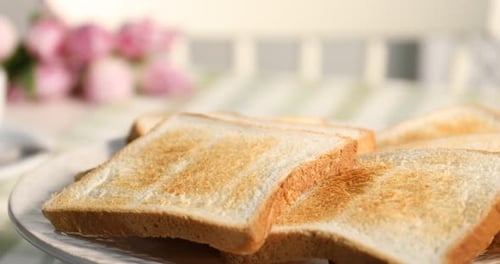 Slices of toasted bread on a plate