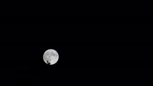 Bright full moon rising against black night sky with clear details and crater patterns