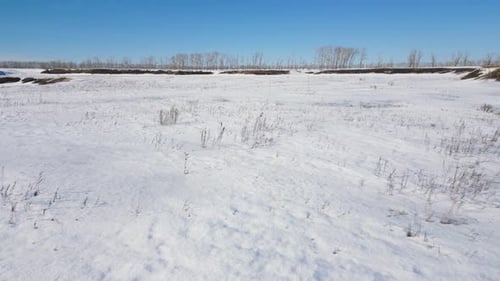 Scenic Snow Field in Winter Frozen Nature