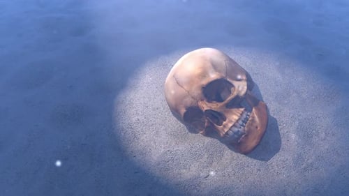 Human Skull in Sand HD