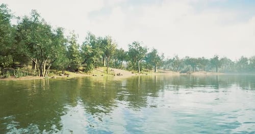 Lush Green Trees Reflect on Calm Water in a Tranquil River Landscape