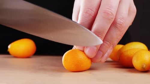 Kumquats mûrs avec des feuilles vertes éclatantes recevant.