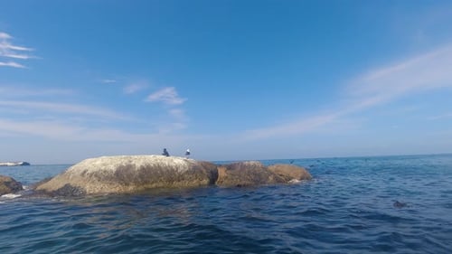 Birds perched on a rock in the middle of the ocean