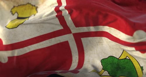 Grungy Textured Flag Waving Realistic Loop