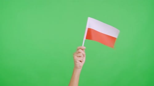 Arm Waving Red and White Flag on Green Screen