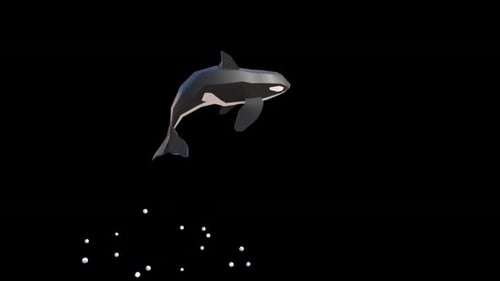 Geometric Killer Whale Jump Animation