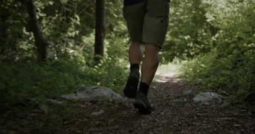 A young man running on a foresty path among the bushes and the trees. Camera tracking runner from be