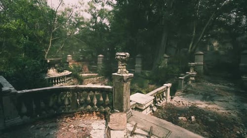 Overgrown Ruins in an Abandoned Garden During a Foggy Day