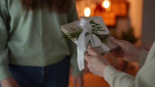 Christmas Gift Exchange Between Two People Indoors