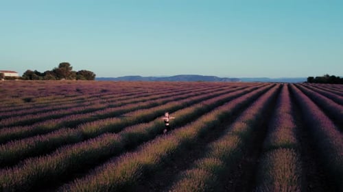 Woman in Lavender Fields at Sunrise