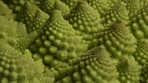 Close Up of Romanesco Cauliflower Vegetable with Green Texture