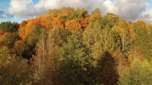 Aerial view of a lake surrounded by a colorful autumn forest, with golden, orange, and green trees