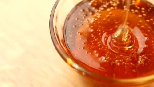 Honey Drip Bees