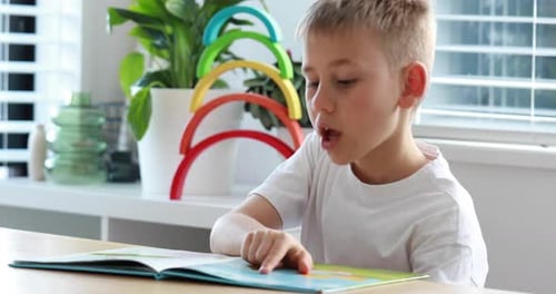Blond Hair Boy Reading a Book Indoors