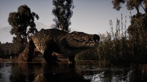 Crocodile émergeant de l'eau dans un habitat naturel serein au coucher du soleil